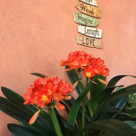 Country house Casa Rural Cal Drac *
