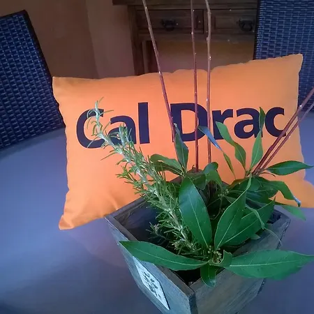 Country house Casa Rural Cal Drac Puigdalba