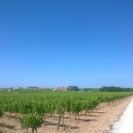 Casa Rural Cal Drac Puigdalba