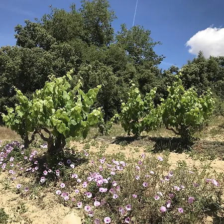 Casa Rural Cal Drac Country house Puigdalba